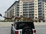 Jeep Wrangler-9