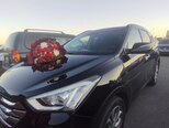 Hyundai Santa Fe-13