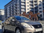 Nissan Sunny-3