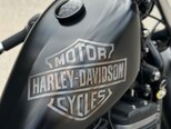 Harley-Davidson XL883N Sportster Iron 883-9