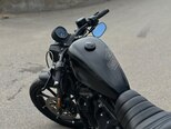 Harley-Davidson XL883N Sportster Iron 883-6