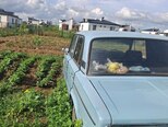 LADA (VAZ) 2106-4