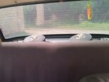 LADA (VAZ) 2106-5