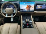 BYD Leopard 8-9