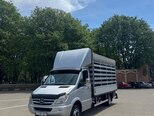 Mercedes Sprinter 515-16