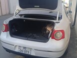 Volkswagen Passat-8