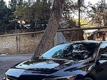 Chevrolet Malibu-5