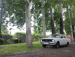 GAZ 24 "Volga"-7