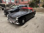 Austin Healey Sprite-6