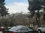 Hyundai Sonata-6