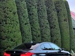 BMW 530-15