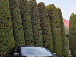 BMW 530-13