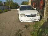 Toyota Corolla-1