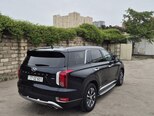 Hyundai Palisade-15