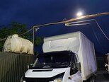 Ford Transit-3