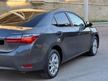 Toyota Corolla-6