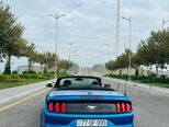 Ford Mustang-12