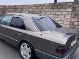 Mercedes 250 D-10