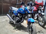 Haojue HJ150-11-9