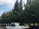 LADA (VAZ) 2115-5