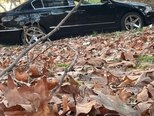 Volkswagen Passat-9