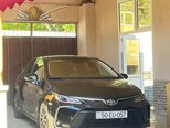 Toyota Corolla-13