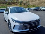 BYD Destroyer 05-1