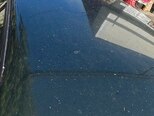 Opel Omega-9