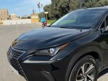 Lexus NX 300-11