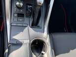Lexus NX 300-20