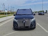 Mercedes Viano-1