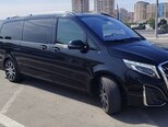 Mercedes Viano-8