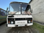 PAZ 32054-1