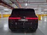 Denza N9-6