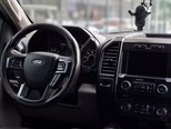 Ford F-150-5