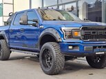 Ford F-150-8