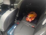 Renault Clio-6