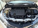 Toyota Corolla-15