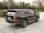 Hyundai Palisade-13