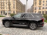 Hyundai Palisade-8