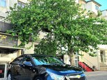 Chevrolet Cruze-4