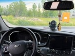 Kia Optima-13