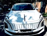 Hongqi E-QM5-1