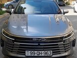 BYD Destroyer 05-19