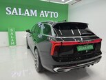 Hongqi E-HS9-6