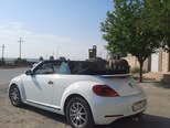 Volkswagen Beetle-12