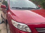 Toyota Corolla-7