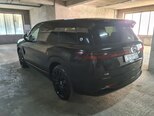 Denza N9-5