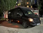 Mercedes Sprinter 316-1