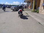 Kayo A150-6